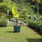 Seaside Family Friendly House With A Swimming Pool Mlini, Dubrovnik - 2145 Mlini