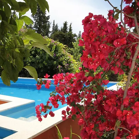 Seaside Family Friendly House With A Swimming Pool Mlini, Dubrovnik - 2145 *