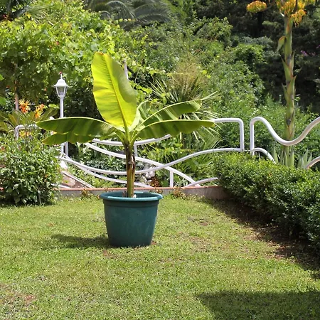 Seaside Family Friendly House With A Swimming Pool Mlini, Dubrovnik - 2145 مْليني