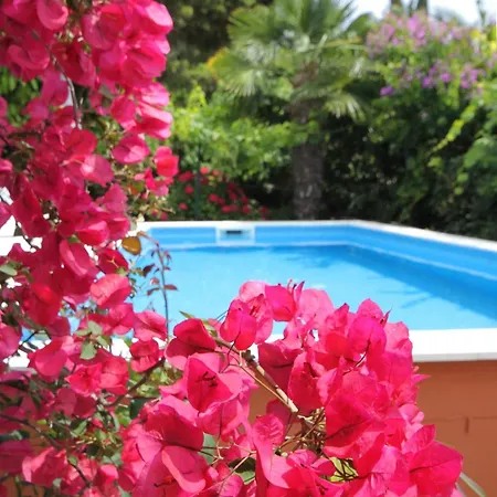 Seaside Family Friendly House With A Swimming Pool Mlini, Dubrovnik - 2145