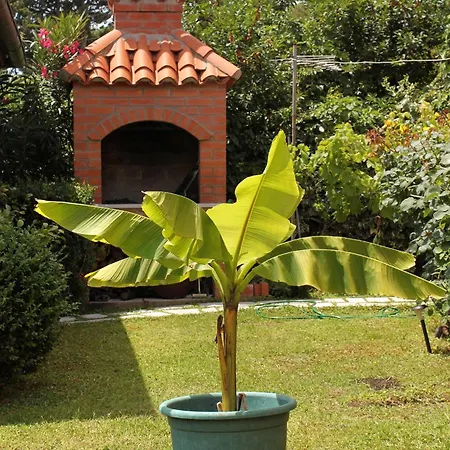 بيت للعطل Seaside Family Friendly House With A Swimming Pool Mlini, Dubrovnik - 2145