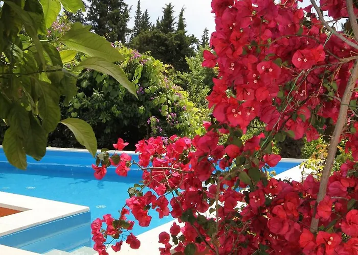 Seaside Family Friendly House With A Swimming Pool Mlini, Dubrovnik - 2145 *