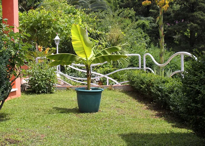 Seaside Family Friendly House With A Swimming Pool Mlini, Dubrovnik - 2145 米利尼