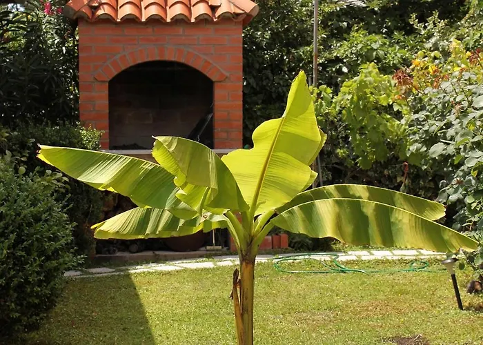 度假居 Seaside Family Friendly House With A Swimming Pool Mlini, Dubrovnik - 2145